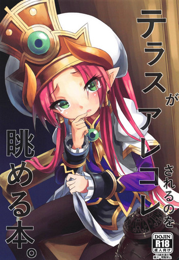 (C93) [カナリヤバいカナリヤ (まゃ～吾郎)] テラスがアレコレされるのを眺める本。 (神羅万象)