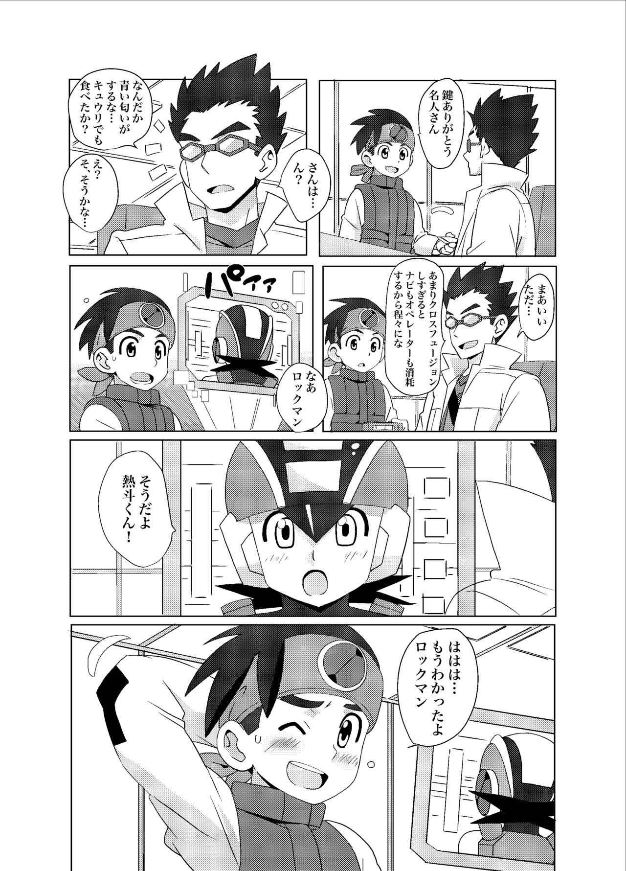 (C95) [WEST ONE (10nin)] Cross Pleasure (ロックマンエグゼ)