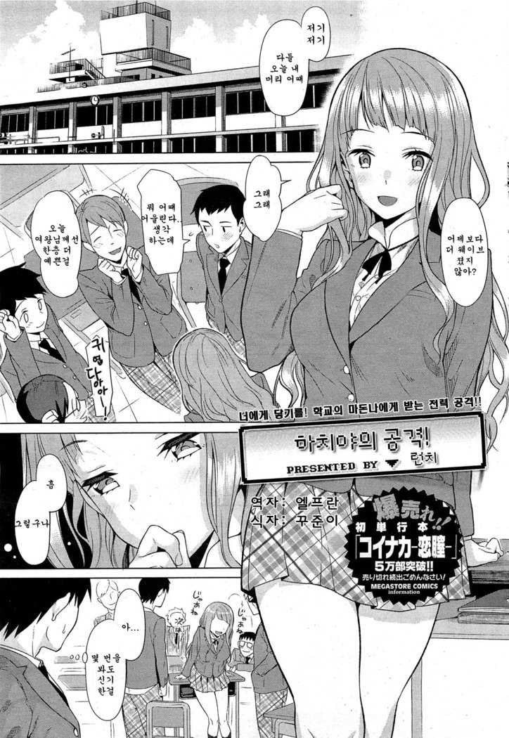 コイナカプラス| 사랑사이plus