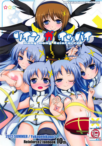 (C82) [湯加減いかが? (湯加減てんゆ～)] リインガイッパイ (魔法少女リリカルなのはStrikerS)