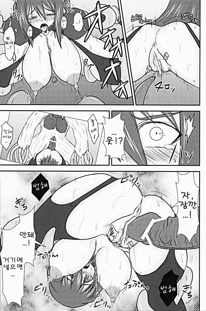 シールドナイトエルザインVol。 9奴隷コロッセオ