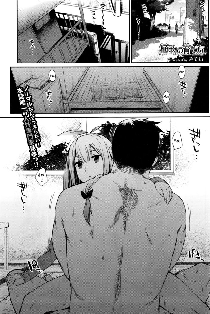 食器のそだてかた