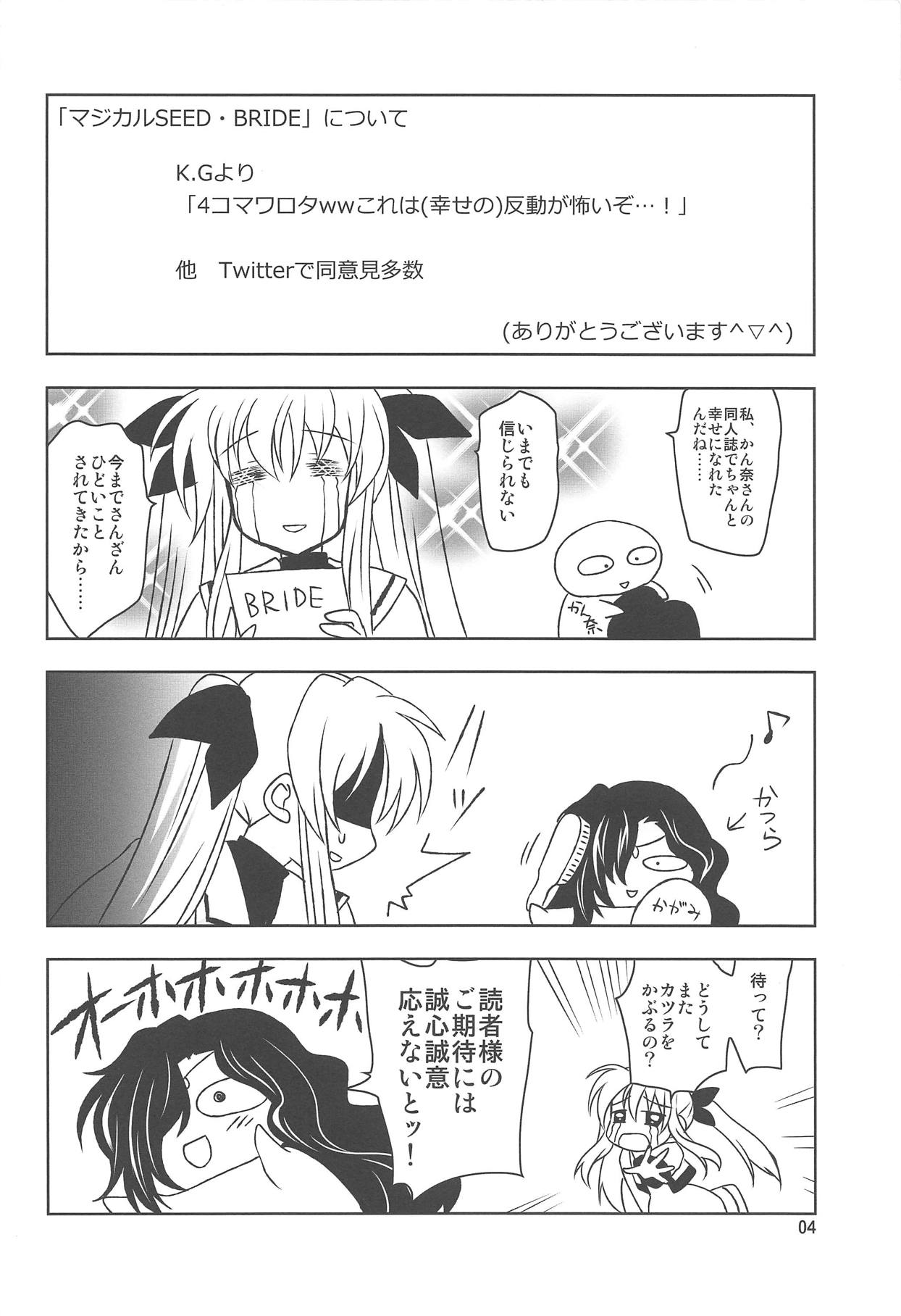 (C94) [PLUM (かん奈)] マジカルSEED MAID (魔法少女リリカルなのは)