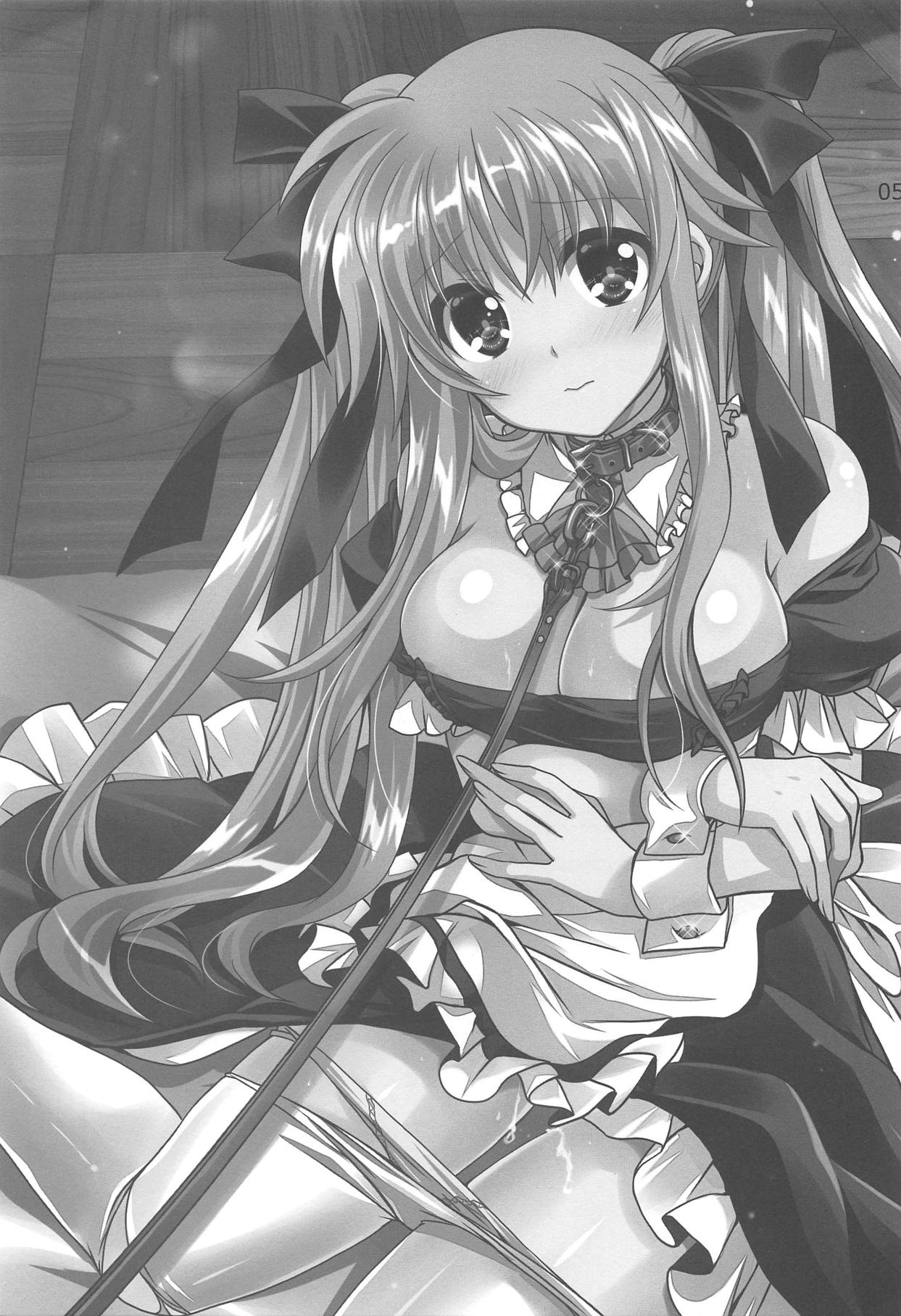 (C94) [PLUM (かん奈)] マジカルSEED MAID (魔法少女リリカルなのは)