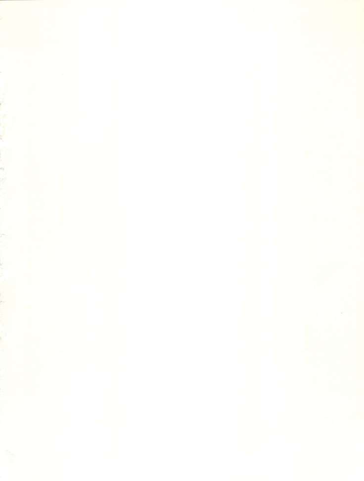 オレンジスカッシュ