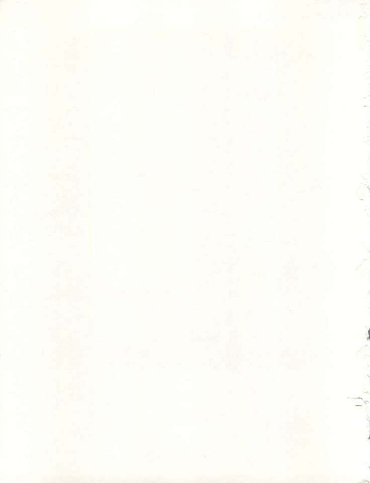 オレンジスカッシュ