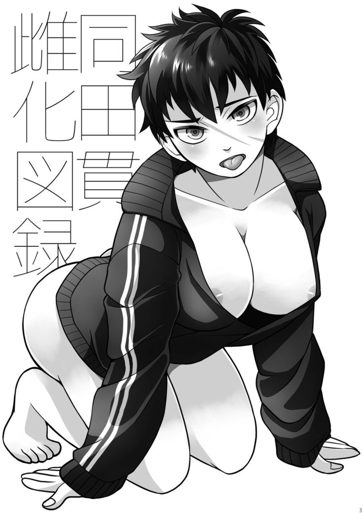 同田貫メスカズロク