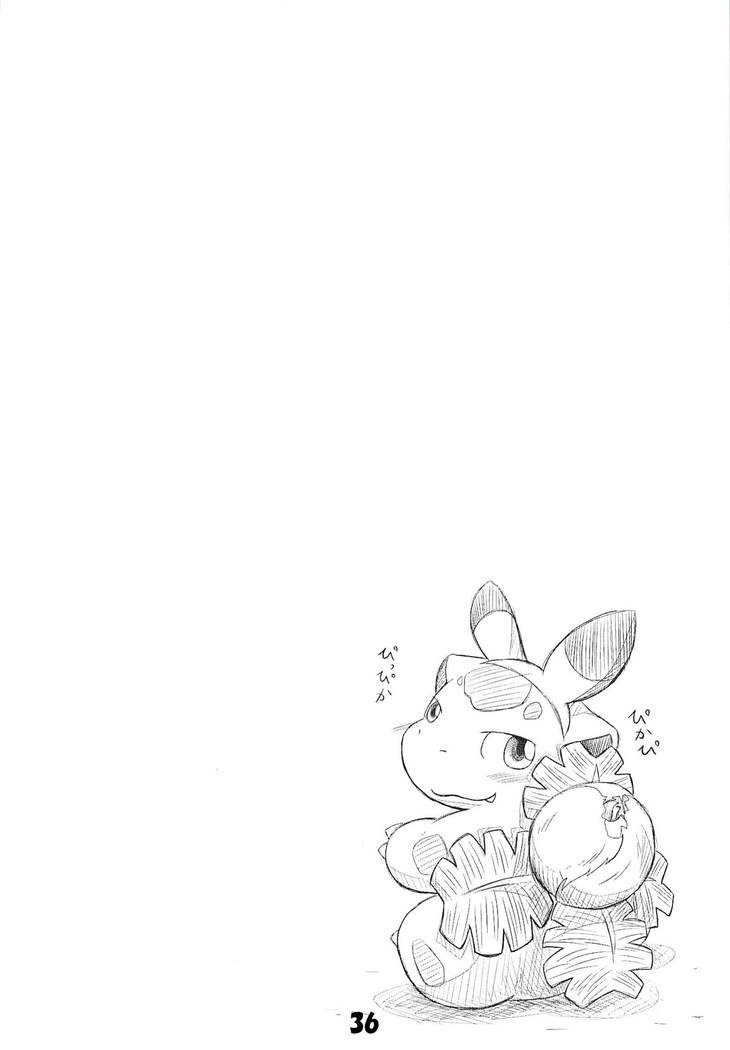 【仔鰐孤屋ポケモンファッションブックPOK-QLO2011年版