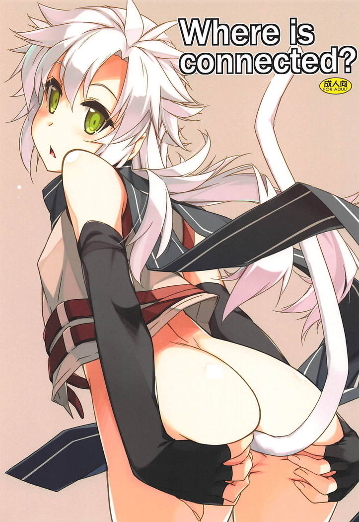 どこに接続されていますか？