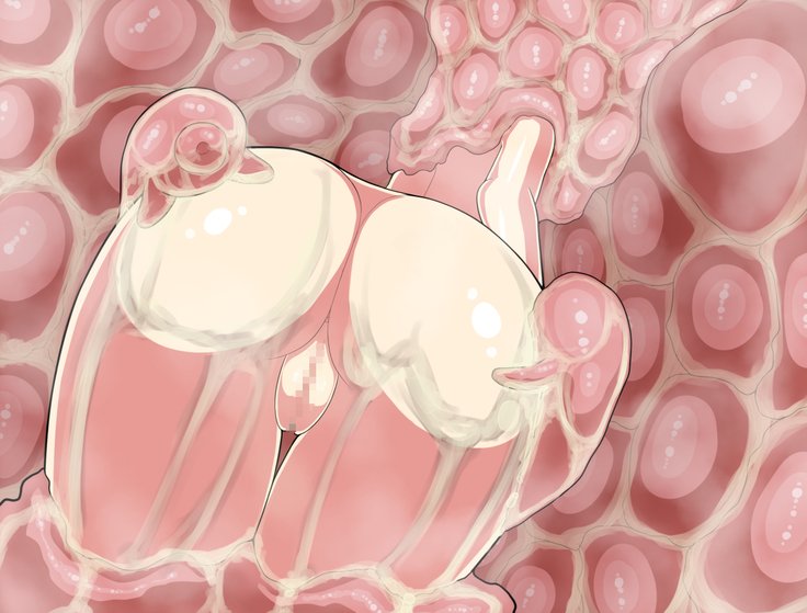 ニッカベへのオッパイ