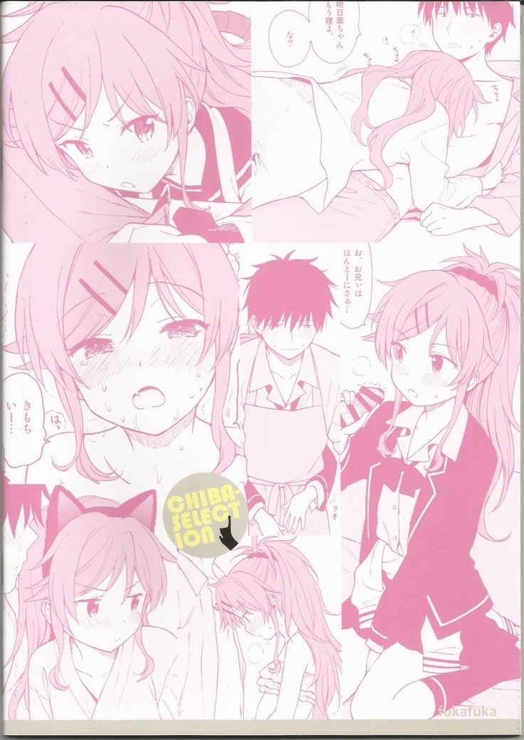 千葉セレクションほぞんばん