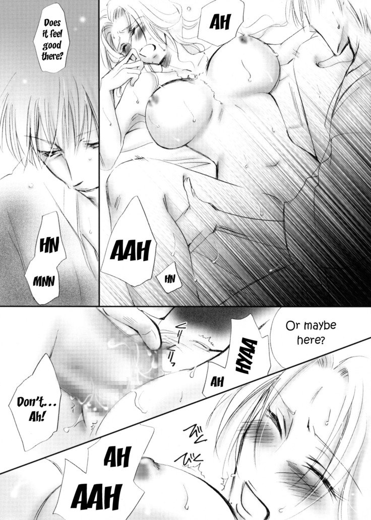 迷い猫オーバーラン野良猫