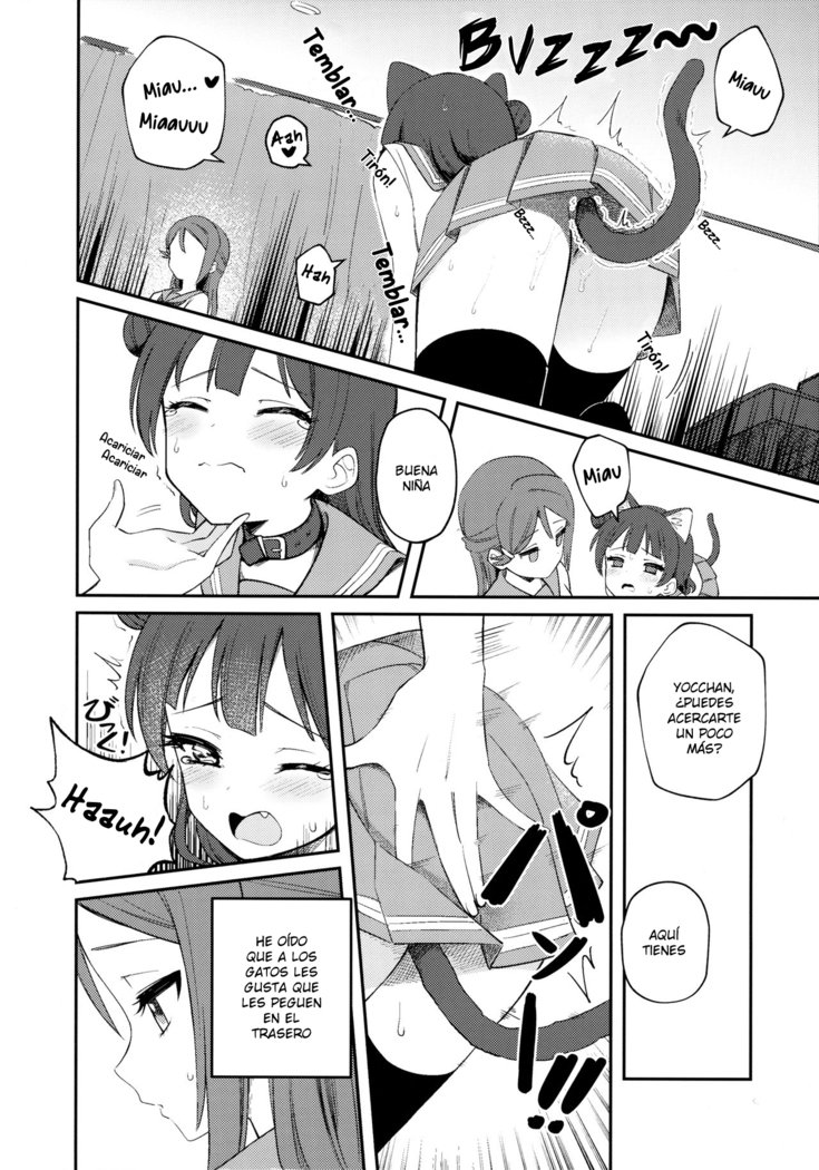 よはねこちょうきょう日記| Diario de Entrenamiento Yohaneko