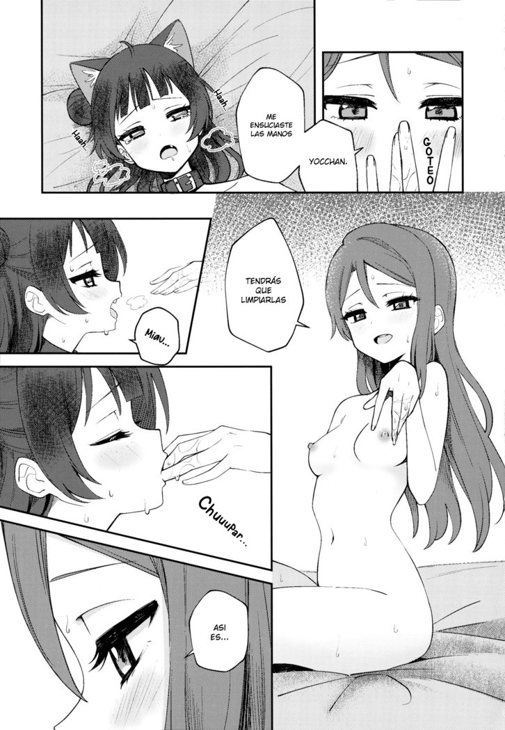 よはねこちょうきょう日記| Diario de Entrenamiento Yohaneko