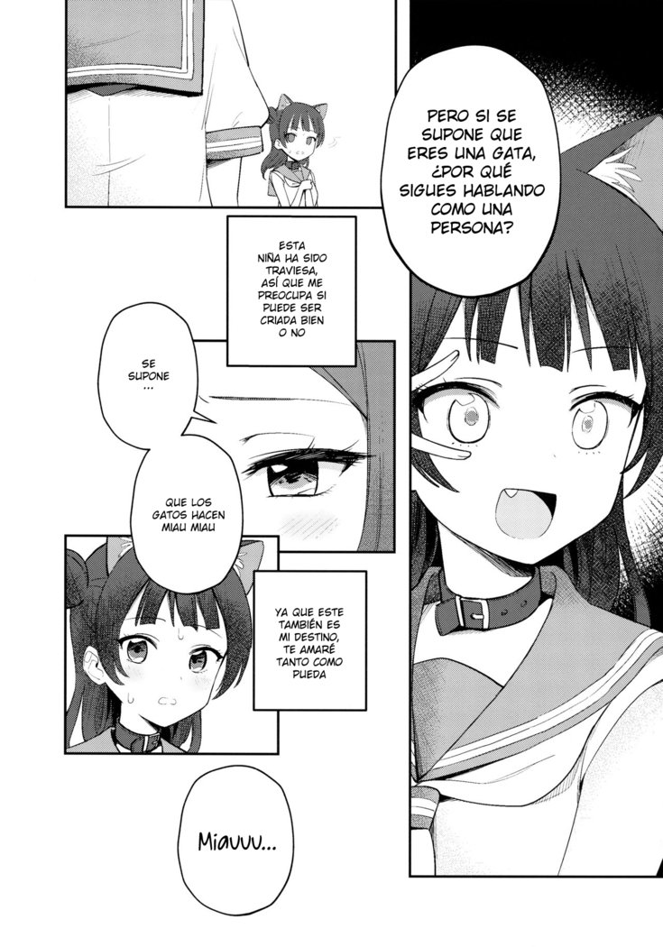 よはねこちょうきょう日記| Diario de Entrenamiento Yohaneko