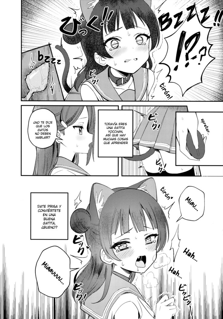 よはねこちょうきょう日記| Diario de Entrenamiento Yohaneko