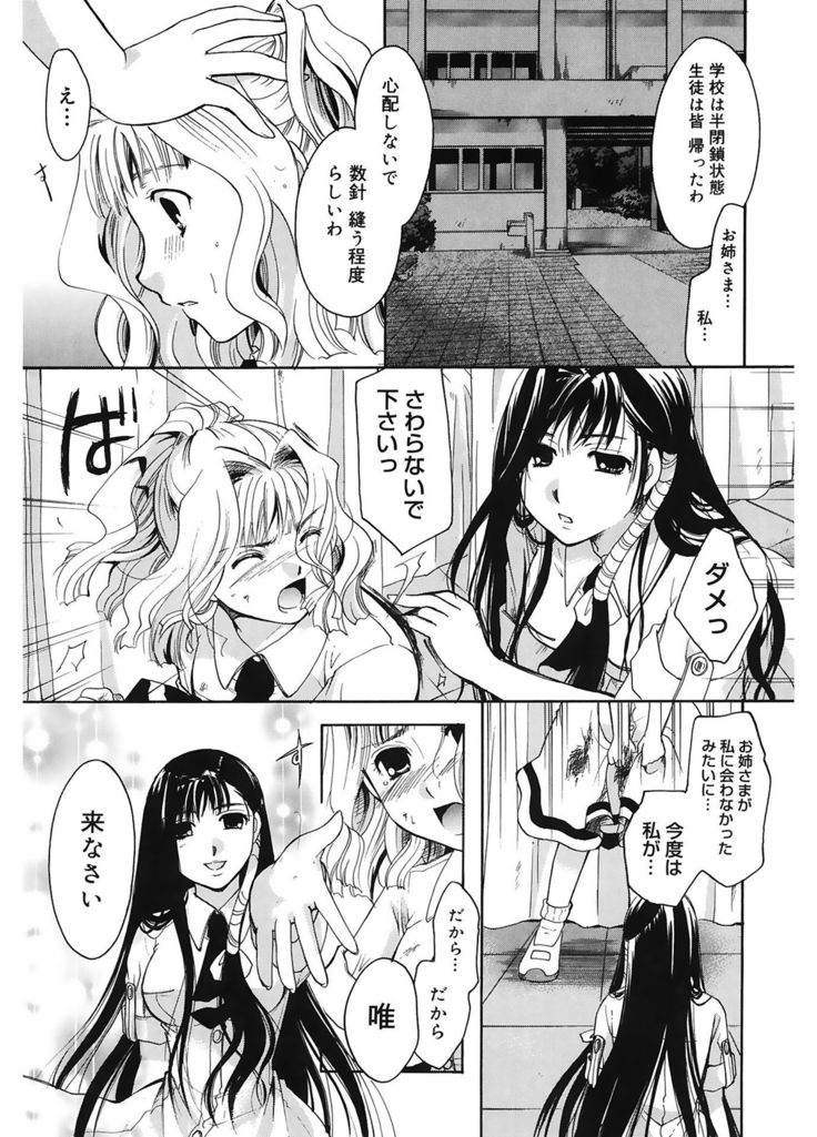 恋の涙と愛の光