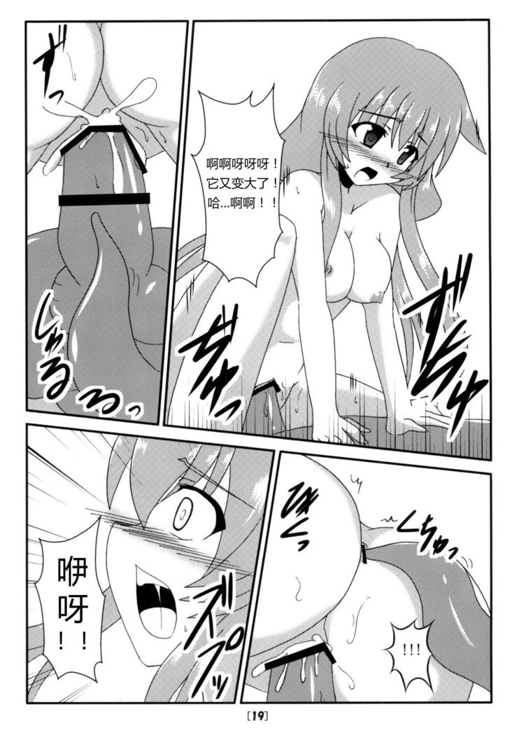 エリアからガガギゴへ