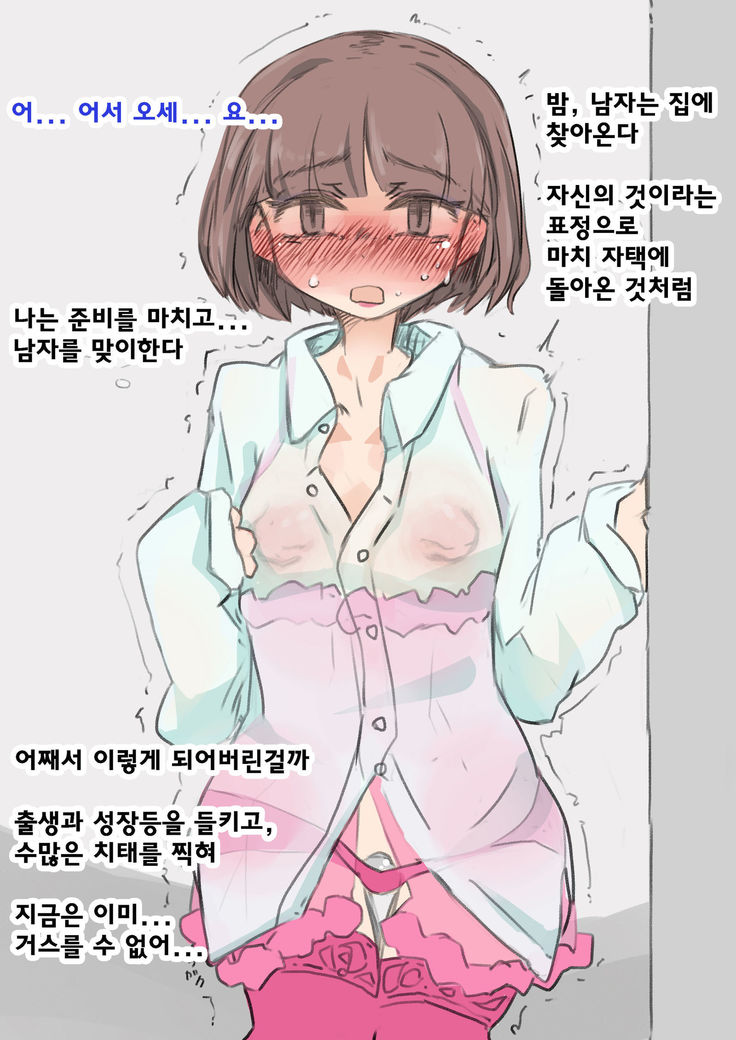 女性化トレーニングの夜여성화조교의밤