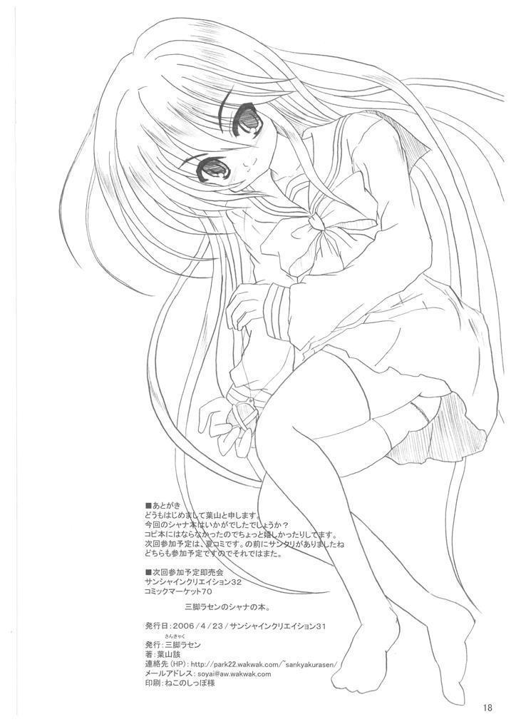 灼眼の乱の本。