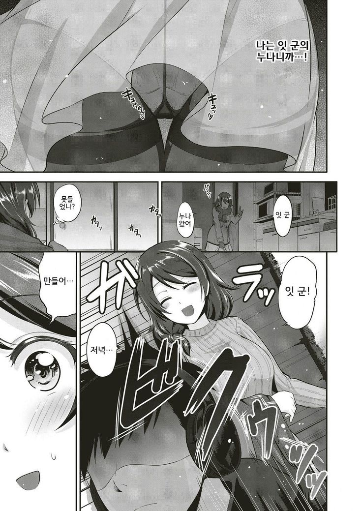 お姉ちゃんは新パイショウ