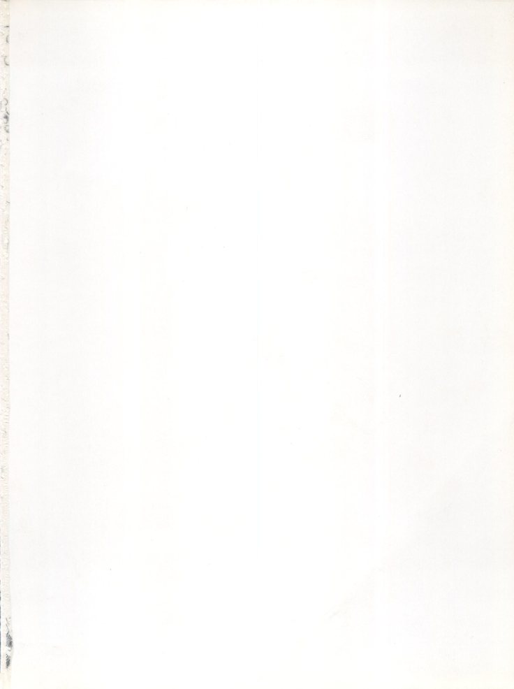 ココナツミルク