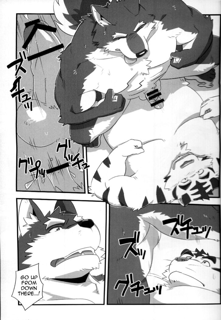 モンステラxIceCloud