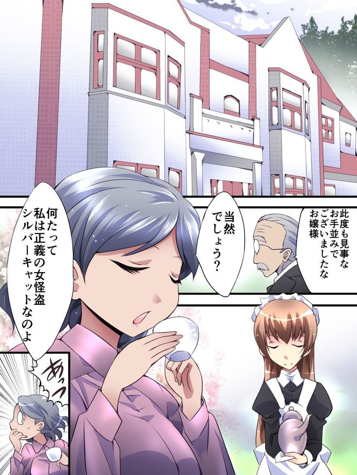 カイトシルバーキャットマンガ版第1話