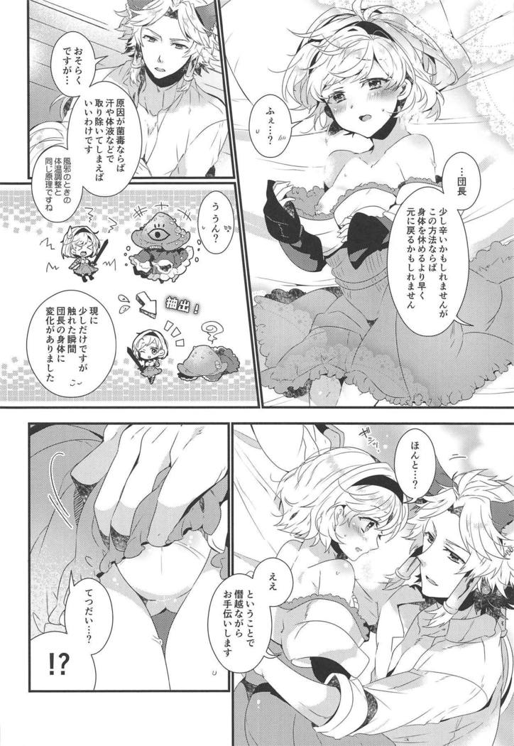 ダンチョウさんからイレスティルへ！