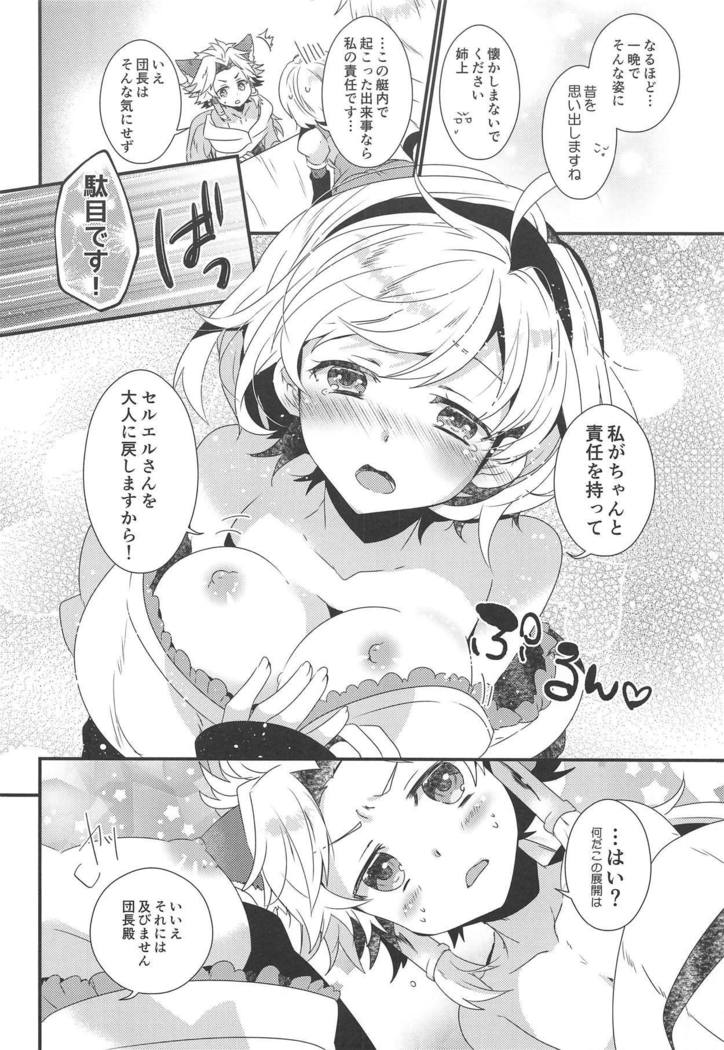 ダンチョウさんからイレスティルへ！