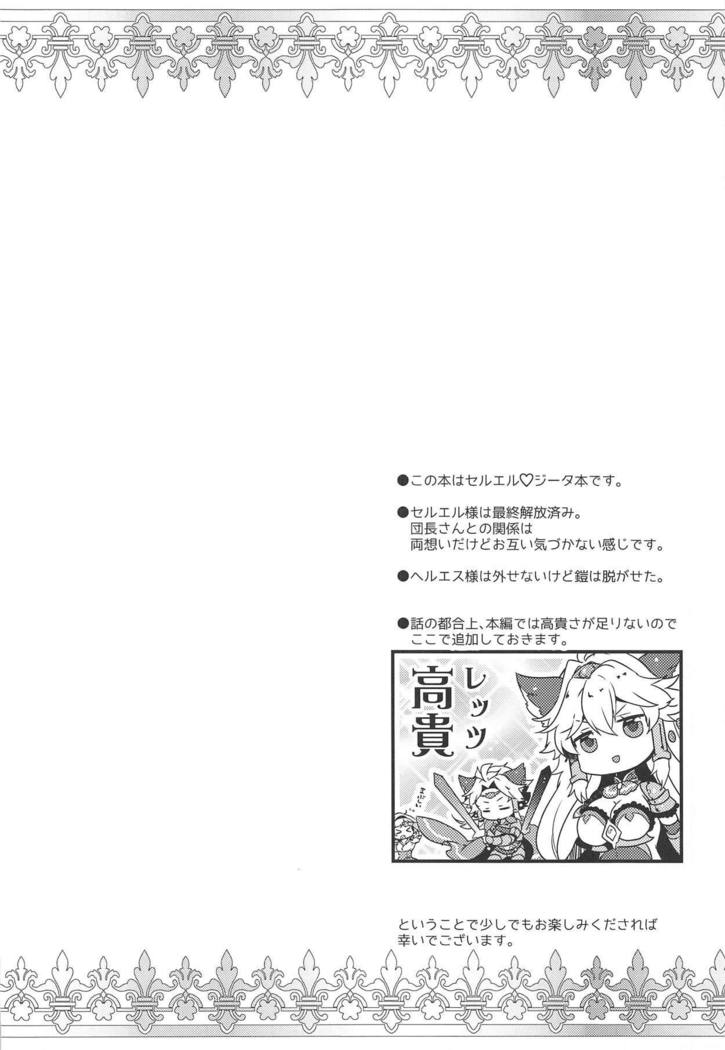 ダンチョウさんからイレスティルへ！