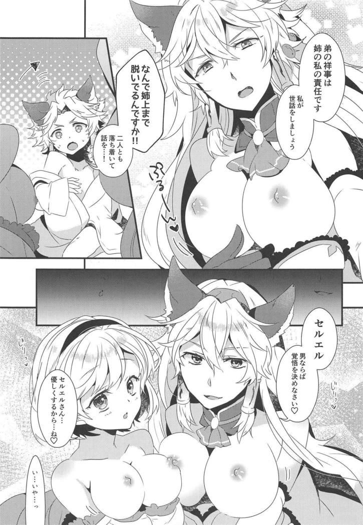 ダンチョウさんからイレスティルへ！