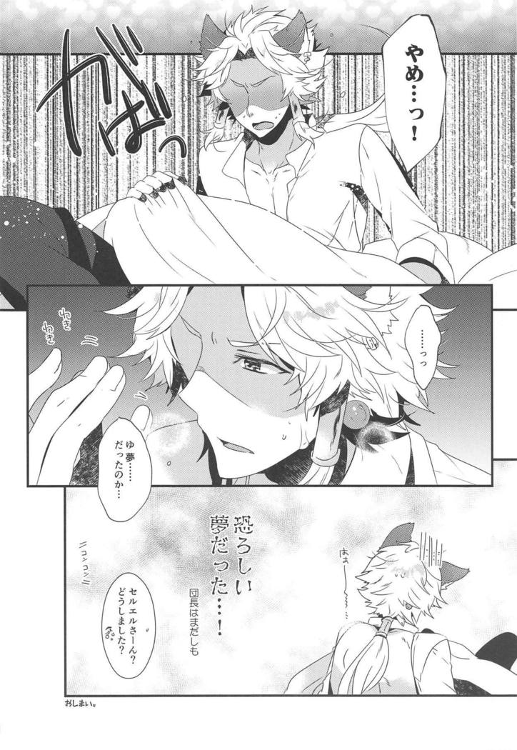 ダンチョウさんからイレスティルへ！