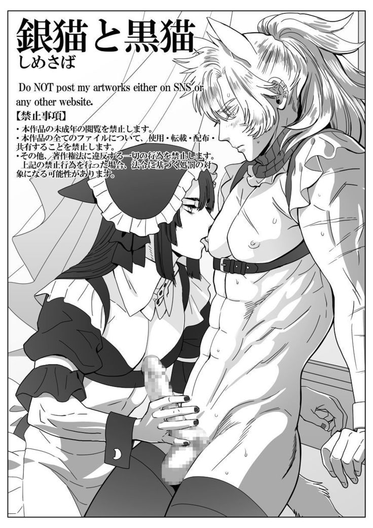 銀ねことくろねこ