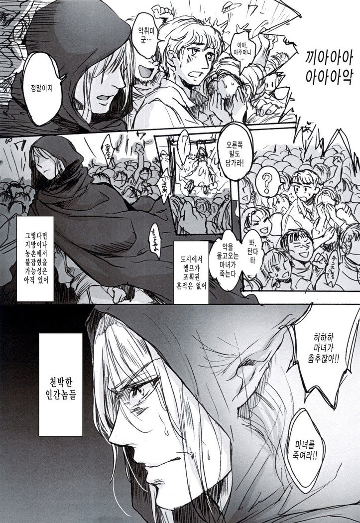 シェーザーザン