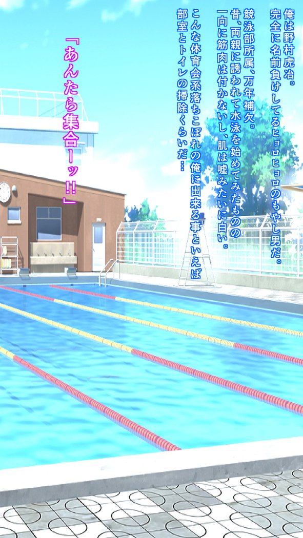 私たちはスキャット