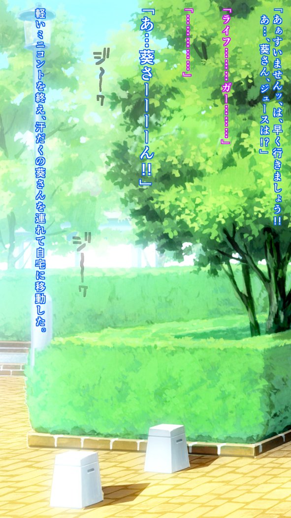 私たちはスキャット