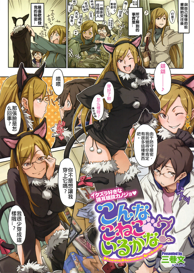 塔城小猫イルカナ！？