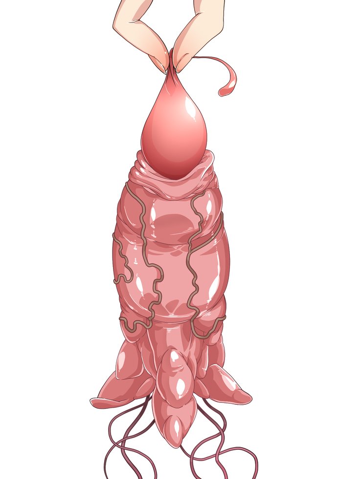 王子さんの洗脳と催眠寄生菌