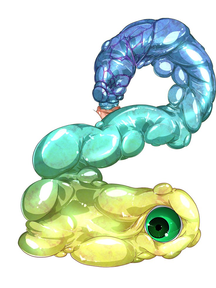 王子さんの洗脳と催眠寄生菌