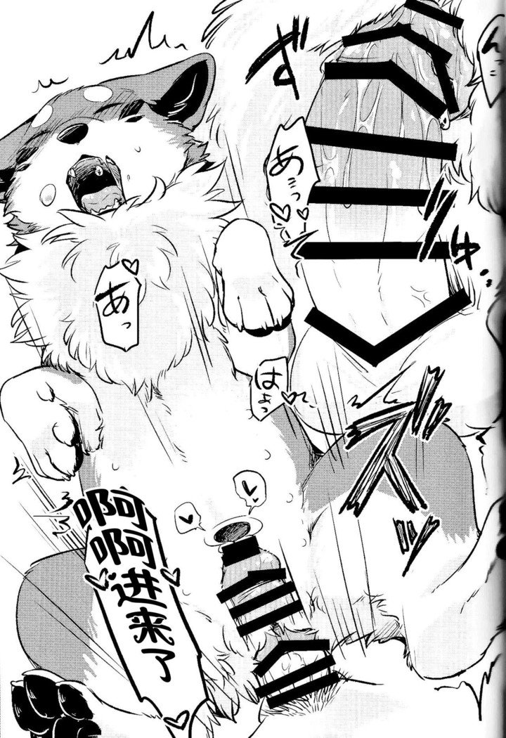 きつねぬにのまそ！？ |让狐犬喝酒！？