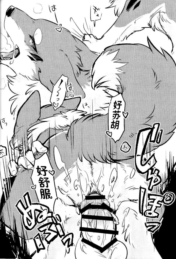 きつねぬにのまそ！？ |让狐犬喝酒！？