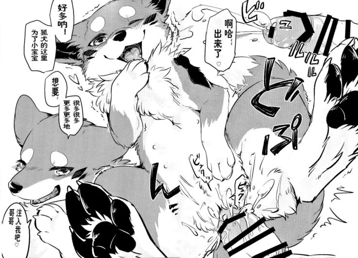 きつねぬにのまそ！？ |让狐犬喝酒！？