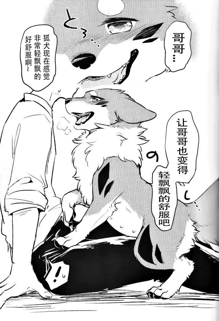 きつねぬにのまそ！？ |让狐犬喝酒！？