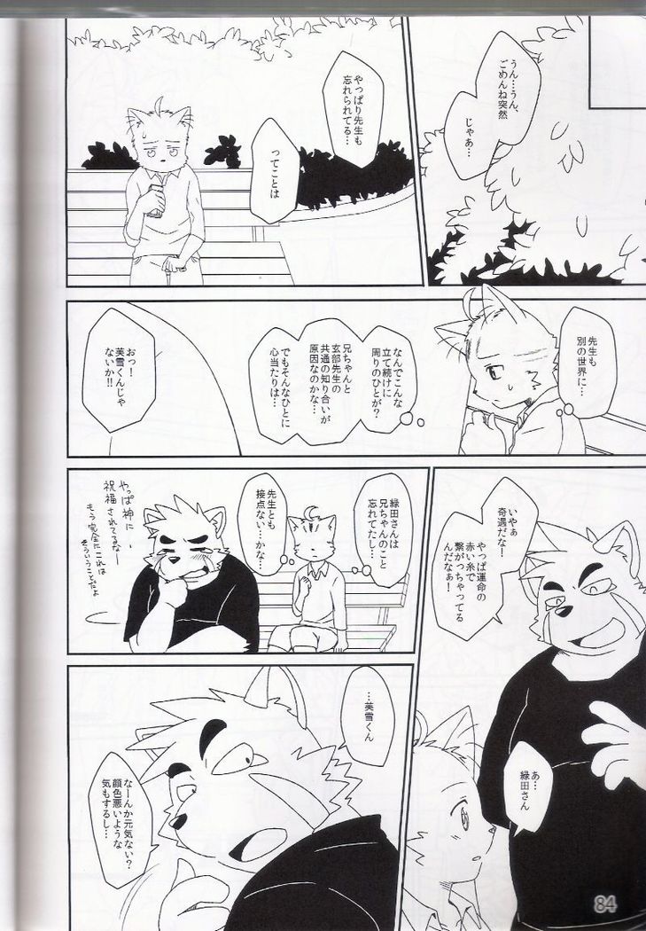 脈！！ゴールド
