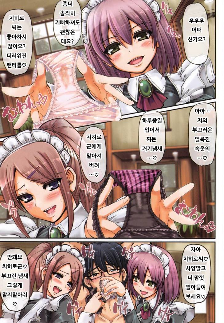 せいっぱいごほうしメイドCh.1