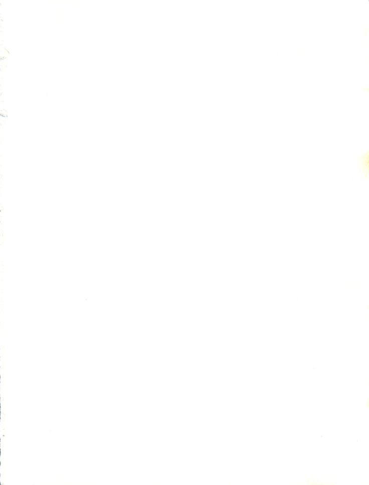 スレイヤーズタイニー