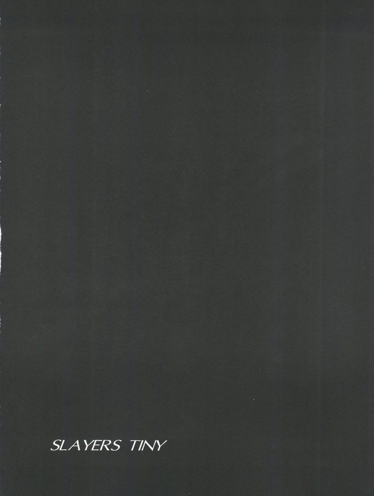 スレイヤーズタイニー