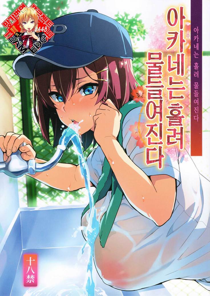 あかねはつまれ染られる+ C94らくがき帳