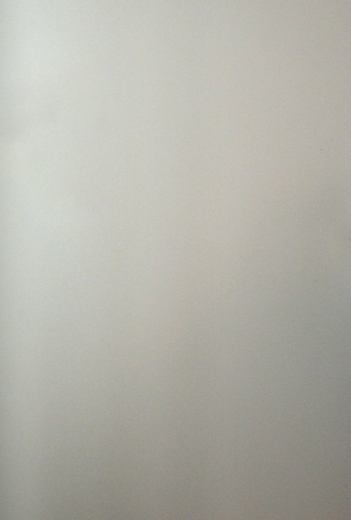 ワイルドレッグオオカミ